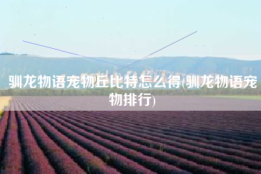 驯龙物语宠物丘比特怎么得(驯龙物语宠物排行)