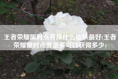 王者荣耀限时点券换什么皮肤最好(王者荣耀限时点券最多可以获得多少)