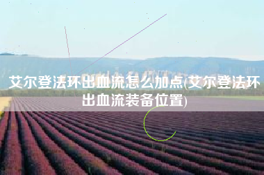 艾尔登法环出血流怎么加点(艾尔登法环出血流装备位置)