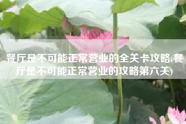 餐厅是不可能正常营业的全关卡攻略(餐厅是不可能正常营业的攻略第六关)