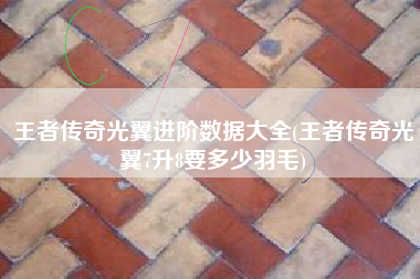 王者传奇光翼进阶数据大全(王者传奇光翼7升8要多少羽毛)