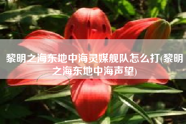 黎明之海东地中海灵媒舰队怎么打(黎明之海东地中海声望)