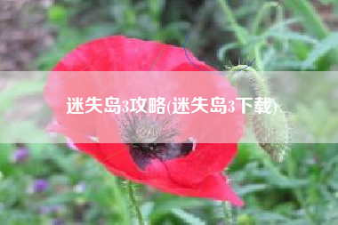 迷失岛3攻略(迷失岛3下载)