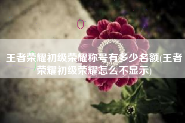 王者荣耀初级荣耀称号有多少名额(王者荣耀初级荣耀怎么不显示)