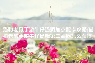 猫和老鼠手游牛仔汤姆加点配卡攻略(猫和老鼠手游牛仔汤姆第二武器怎么获得)