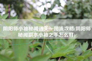 阴阳师小袖秘闻通关一图流攻略(阴阳师秘闻副本小袖之手怎么打)