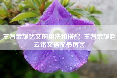 王者荣耀铭文的用法和搭配_王者荣耀赵云铭文搭配最厉害