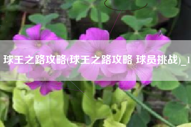 球王之路攻略(球王之路攻略 球员挑战)_1