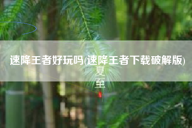速降王者好玩吗(速降王者下载破解版)