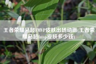 王者荣耀马超FMVP皮肤出场动画(王者荣耀马超fmvp皮肤多少钱)