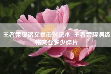 王者荣耀铭文暴击对法术_王者荣耀满级铭文要多少碎片