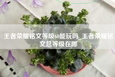 王者荣耀铭文等级60能玩吗_王者荣耀铭文总等级在哪