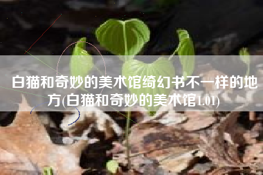 白猫和奇妙的美术馆绮幻书不一样的地方(白猫和奇妙的美术馆1.01)