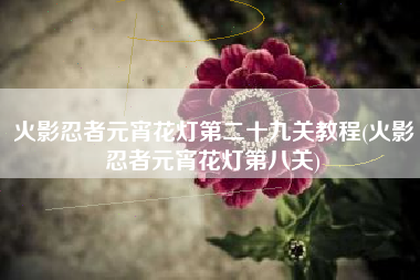 火影忍者元宵花灯第二十九关教程(火影忍者元宵花灯第八关)