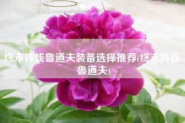 终末阵线鲁道夫装备选择推荐(终末阵线 鲁道夫)