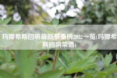 玛娜希斯回响最新节奏榜2022一览(玛娜希斯回响菜谱)