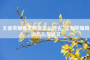 王者荣耀铭文商店怎么进去_王者荣耀商店怎么买铭文