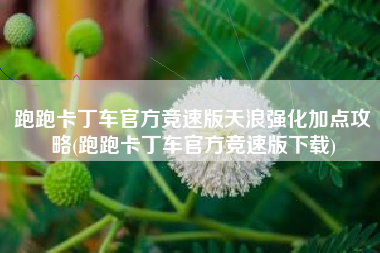 跑跑卡丁车官方竞速版天浪强化加点攻略(跑跑卡丁车官方竞速版下载)