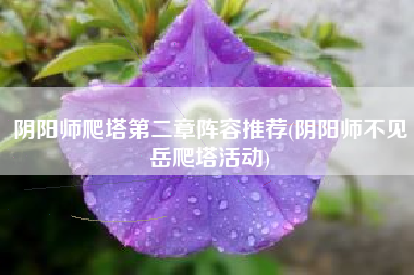 阴阳师爬塔第二章阵容推荐(阴阳师不见岳爬塔活动)