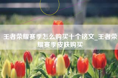 王者荣耀赛季怎么购买十个铭文_王者荣耀赛季皮肤购买