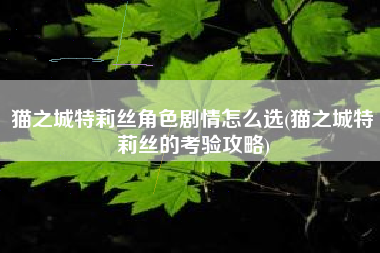 猫之城特莉丝角色剧情怎么选(猫之城特莉丝的考验攻略)