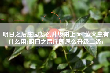 明日之后庄园怎么升级附上2022萤火虫有什么用(明日之后庄园怎么升级二级)