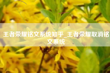 王者荣耀铭文系统知乎_王者荣耀取消铭文系统