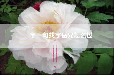 一字一句找字岳兄怎么过