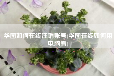 华图如何在线注销账号(华图在线如何用电脑看)