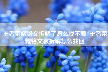 王者荣耀铭文拆解了怎么找不着_王者荣耀铭文被拆解怎么找回