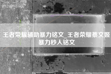 王者荣耀辅助暴力铭文_王者荣耀蔡文姬暴力秒人铭文