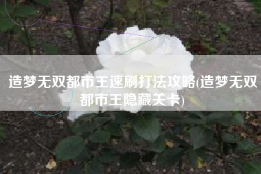 造梦无双都市王速刷打法攻略(造梦无双都市王隐藏关卡)