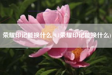 荣耀印记能换什么(9.1荣耀印记能换什么)