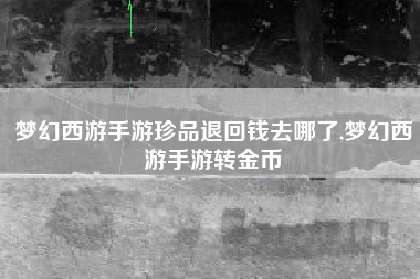 梦幻西游手游珍品退回钱去哪了,梦幻西游手游转金币