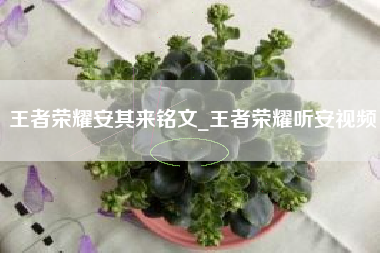 王者荣耀安其来铭文_王者荣耀听安视频