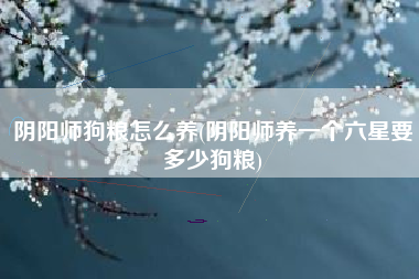阴阳师狗粮怎么养(阴阳师养一个六星要多少狗粮)