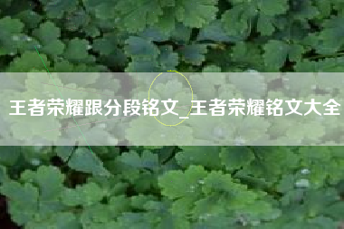 王者荣耀跟分段铭文_王者荣耀铭文大全