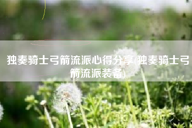 独奏骑士弓箭流派心得分享(独奏骑士弓箭流派装备)