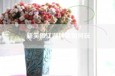 新笑傲江湖种菜如何玩