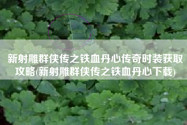新射雕群侠传之铁血丹心传奇时装获取攻略(新射雕群侠传之铁血丹心下载)