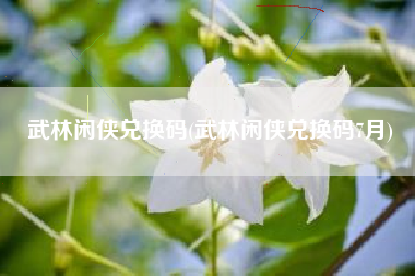 武林闲侠兑换码(武林闲侠兑换码7月)