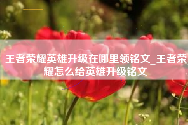 王者荣耀英雄升级在哪里领铭文_王者荣耀怎么给英雄升级铭文