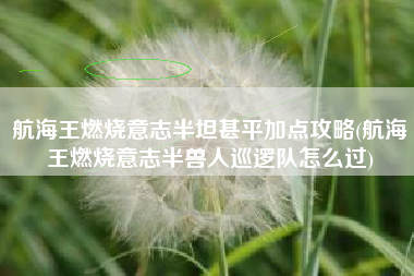 航海王燃烧意志半坦甚平加点攻略(航海王燃烧意志半兽人巡逻队怎么过)