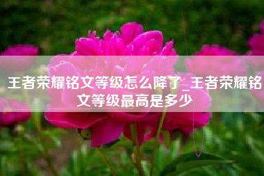 王者荣耀铭文等级怎么降了_王者荣耀铭文等级最高是多少