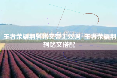 王者荣耀荆轲铭文带无双吗_王者荣耀荆轲铭文搭配
