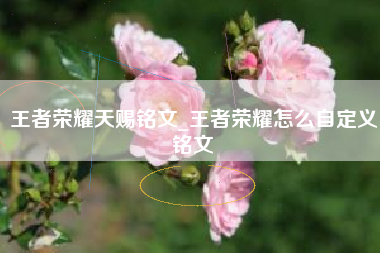 王者荣耀天赐铭文_王者荣耀怎么自定义铭文