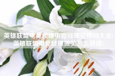 英雄联盟电竞经理电竞经理兑换码大全(英雄联盟电竞经理微笑怎么获得)