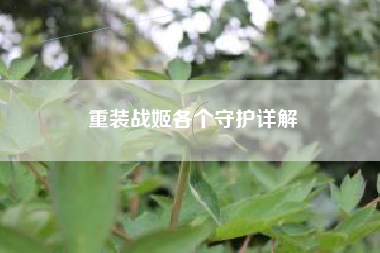 重装战姬各个守护详解