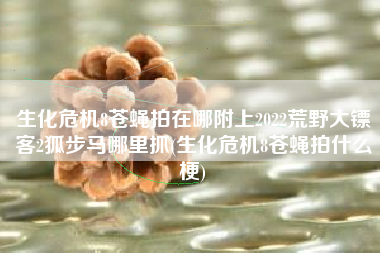 生化危机8苍蝇拍在哪附上2022荒野大镖客2狐步马哪里抓(生化危机8苍蝇拍什么梗)