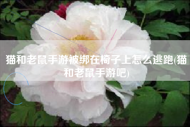 猫和老鼠手游被绑在椅子上怎么逃跑(猫和老鼠手游吧)